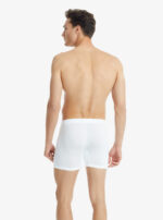 BLACKSPADE Erkek Modal Elastan Boxer Silver 9313 - Görsel 4
