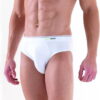 blackspade-9232-classic-erkek-slip