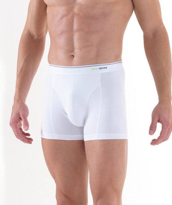 blackspade-9233-tender-cotton-erkek-boxer