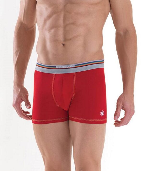 blackspade-9550-colours-erkek-boxer (2)